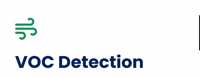 VOC Detection