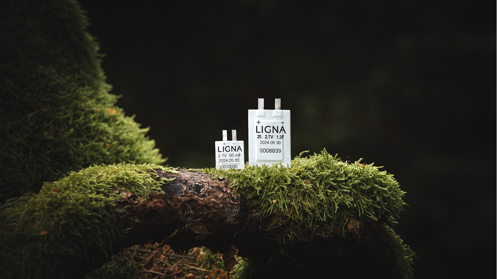 INNOITALY partnership with Ligna Energy